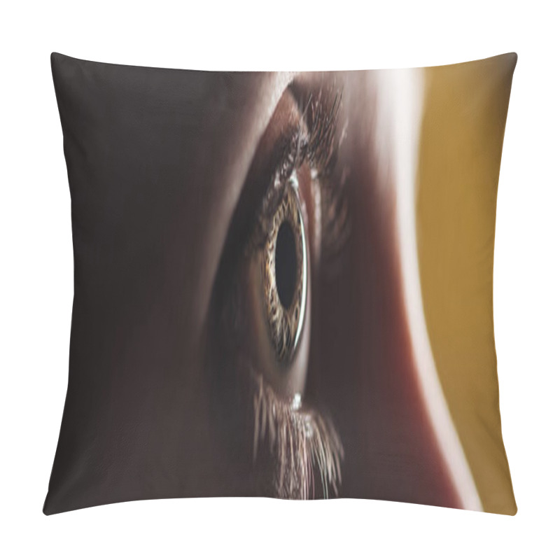 Personality  Close Up View Of Human Eye Looking Away In Darkness, Panoramic Shot Pillow Covers