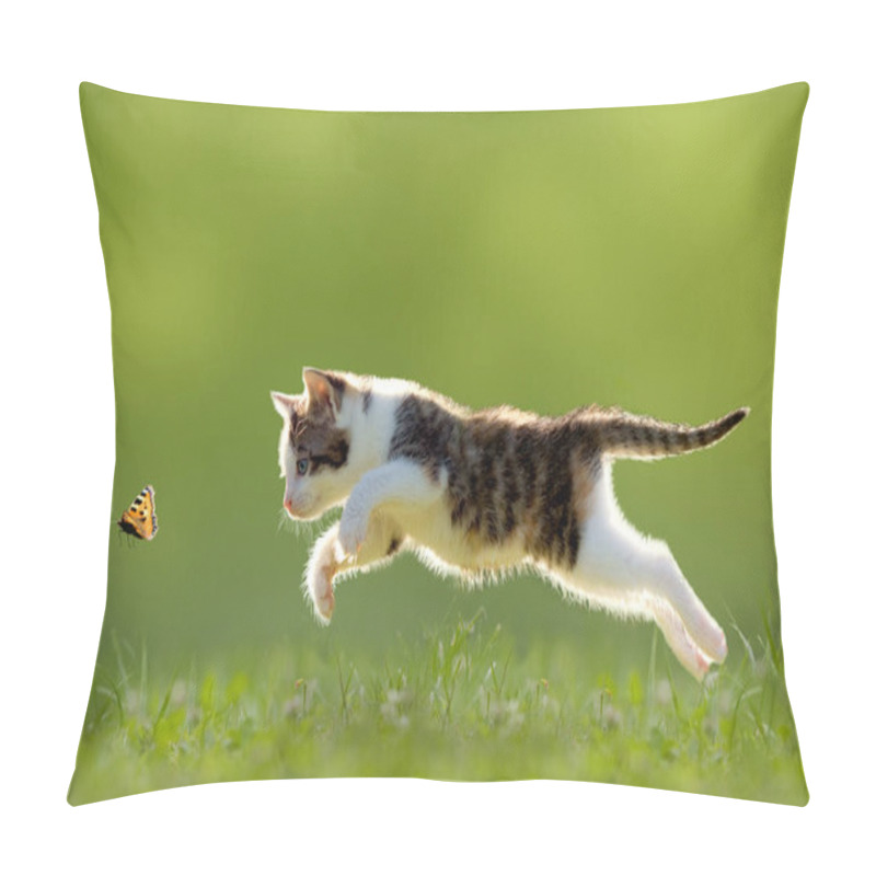 Personality  Young Cat Hunting Butterfly On A Meadow Backlit Pillow Covers