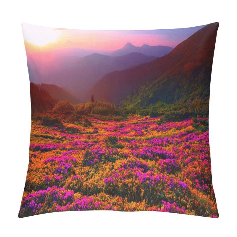 Personality   Ukraine - Romania Border, Europe, Carpathian Mountains, Marmarosy Range, Breathtaking Summer Landscape In Europe, Amazing Morning Sky And Awesome Blooming Pink Rhododendrons Flowers Pillow Covers