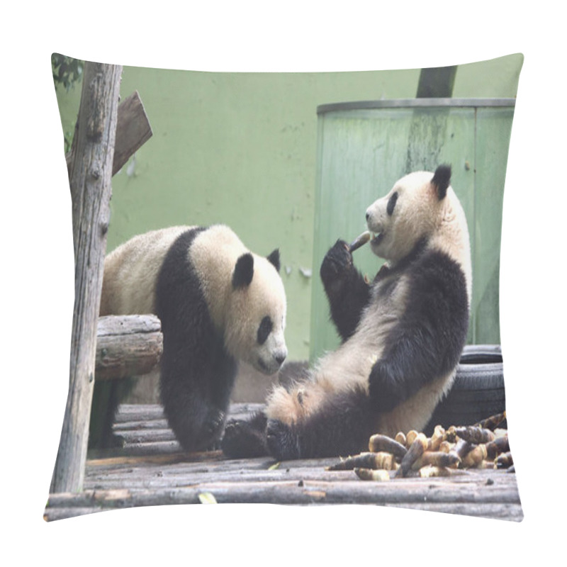 Personality  Giant Pandas Eat Bamboo At The Shanghai Zoo In Shanghai, China, 27 April 2016. Pillow Covers