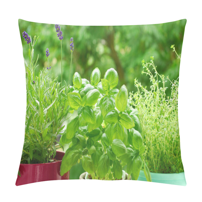 Personality  Home Herb`s Garden Pillow Covers