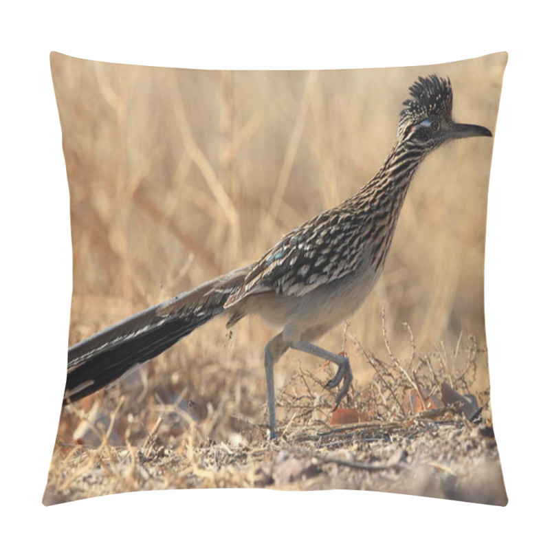 Personality  Roadrunner Bosque Del Apache Wildlife Refuge In New Mexico. Pillow Covers