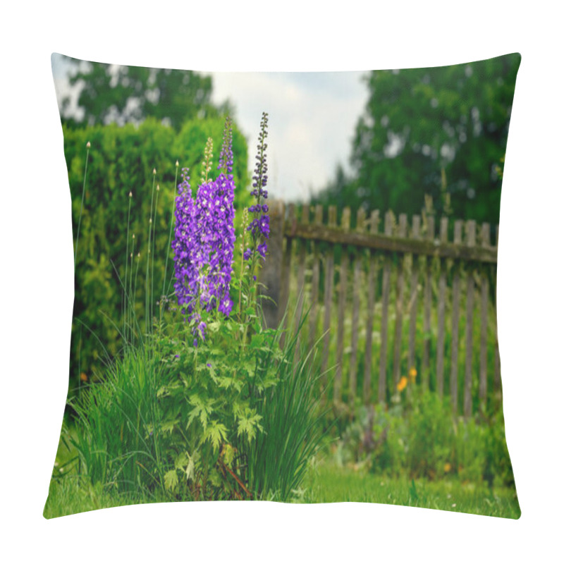 Personality  Garden Flower. Consolida Ajacis (syn. Consolida Ambigua, Delphinium Ajacis, Delphinium Ambiguum, Doubtful Knight's Spur, Rocket Larkspur) Is An Annual Flowering Plant Of The Family Ranunculaceae Native To Eurasia. Pillow Covers