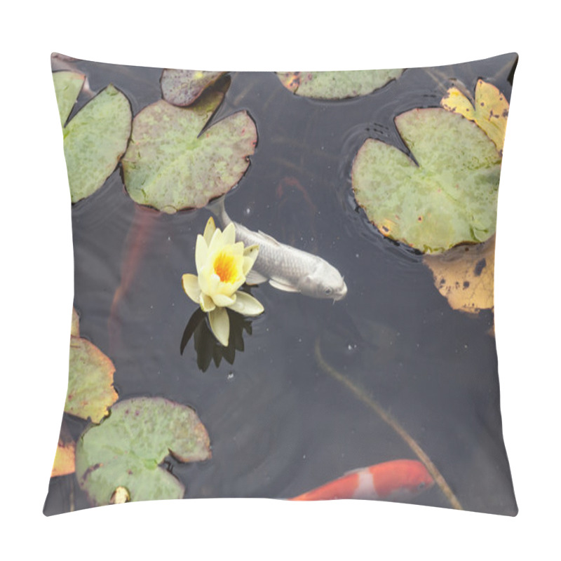 Personality  Lily, Gold Fish In A Man Made Pond. Pillow Covers