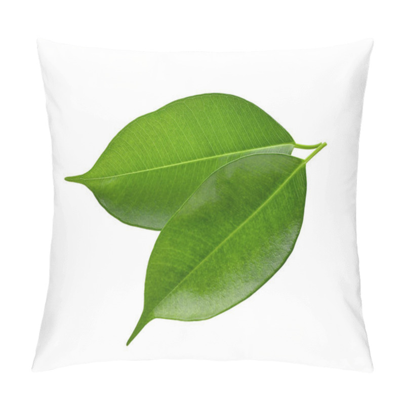 Personality  Green Leaf Isolated On White Background Pillow Covers