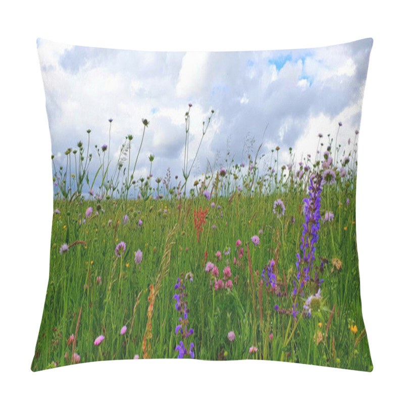 Personality  Flowers Meadow Landscape With Grass And Wildflowers Cloudy Sky Pillow Covers