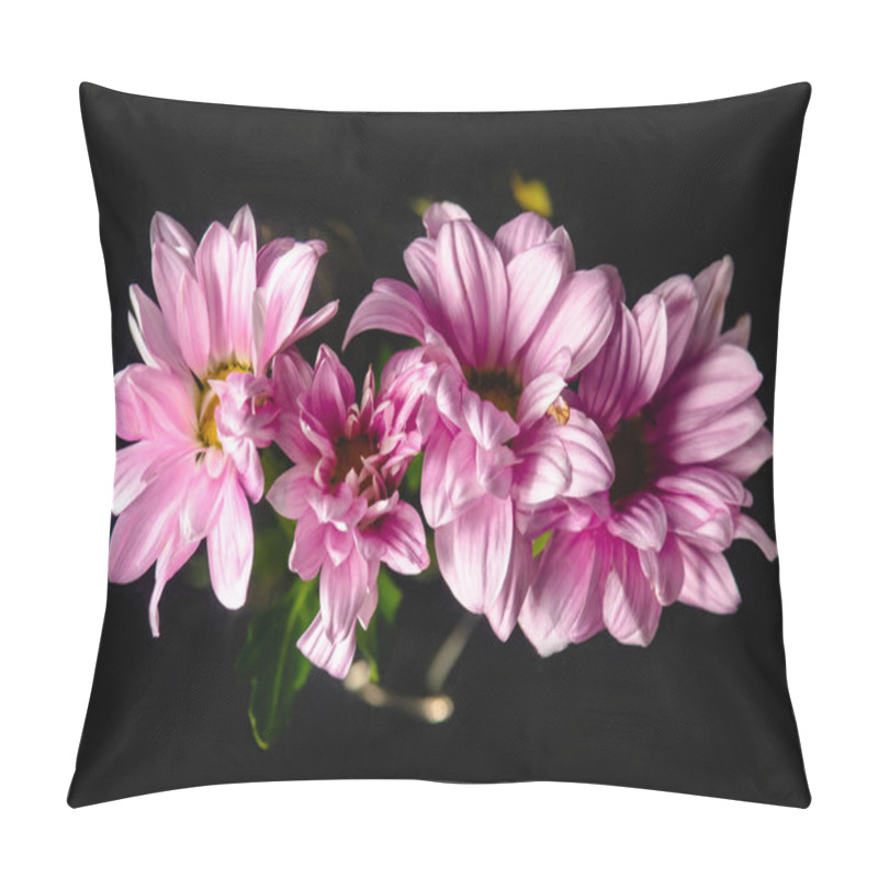 Personality  Close-up View Of Beautiful Pink Flowers Isolated On Black  Pillow Covers