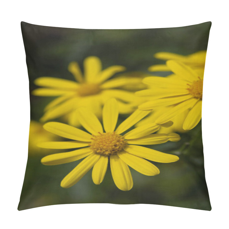 Personality  Bright Yellow Wildflowers In A Lush Natural Setting. A Close-up Of Bright Yellow Wildflowers In Full Bloom, Set Against A Blurred Green Background For A Vibrant And Cheerful Scene. Pillow Covers