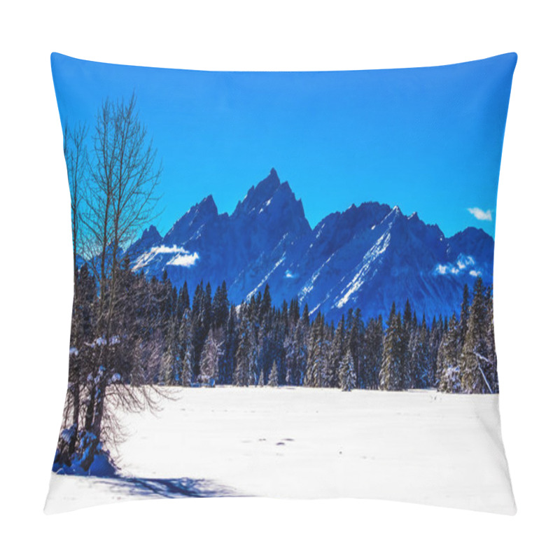 Personality  Winter Day In Grand Teton National Park, Wyoming  Pillow Covers