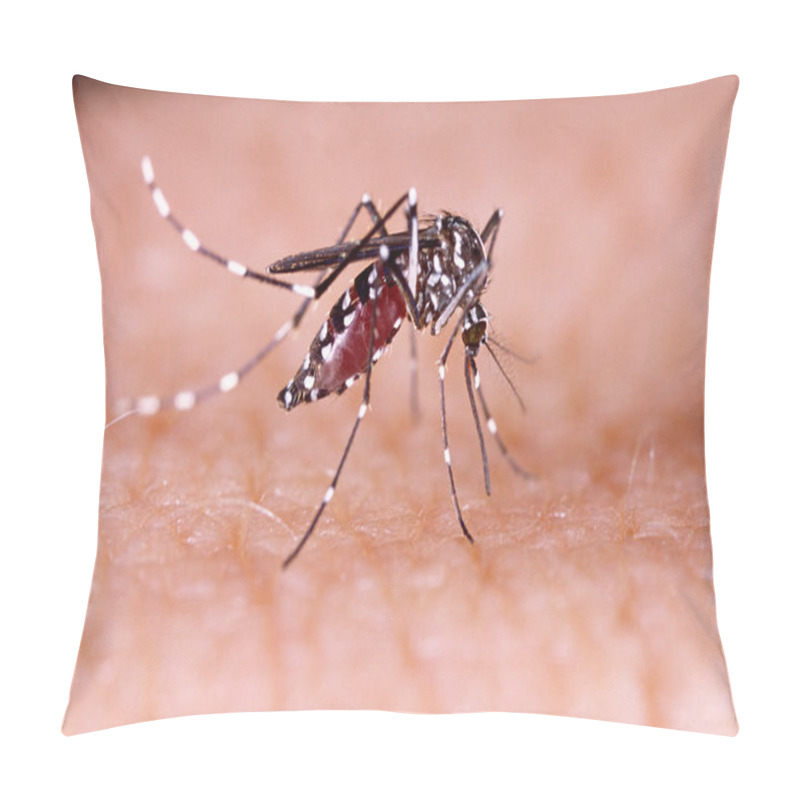 Personality  Dengue, Zika And Chikungunya Fever Mosquito (aedes Aegypti) On Human Skin Pillow Covers