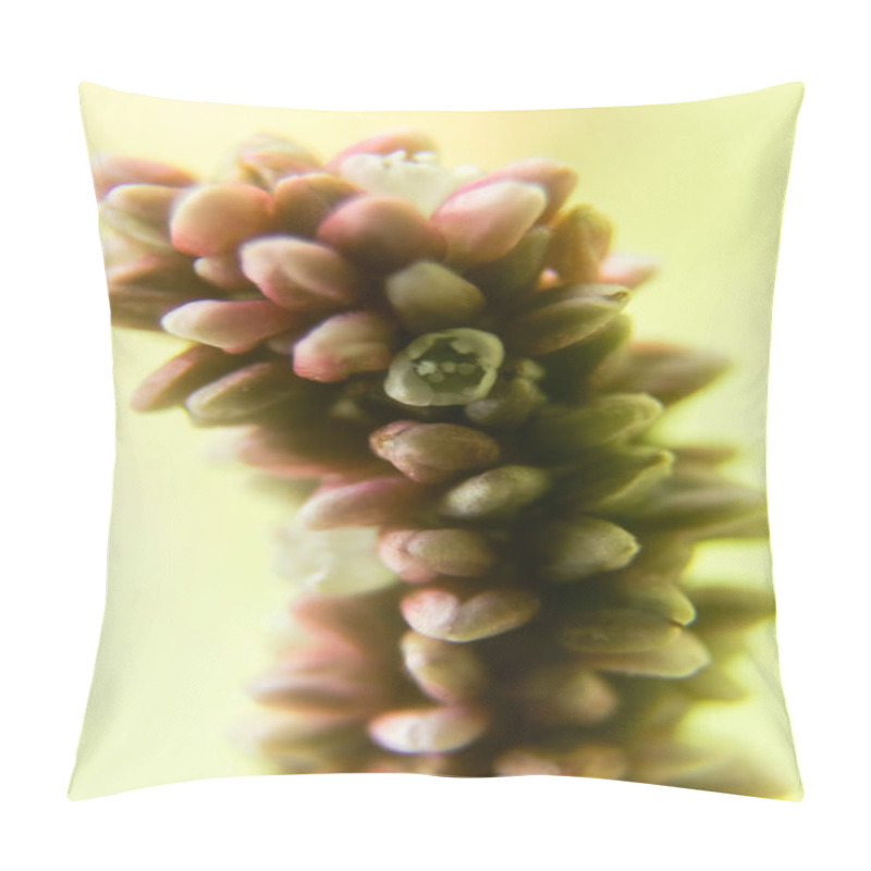 Personality  Immerse Yourself In The Stunning Beauty Of A Pink Flower In This Captivating Close-up Photograph, Showcasing The Vibrant Details Of Nature's Floral Elegance Pillow Covers