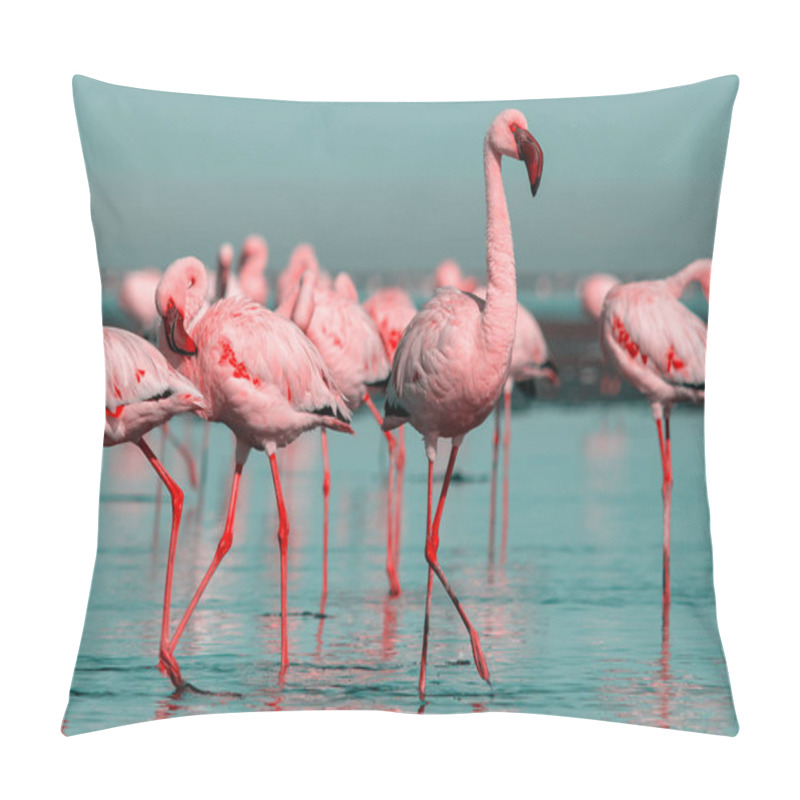 Personality  Wild African Birds. Group Birds Of Pink African Flamingos  Walking Around The Blue Lagoon Pillow Covers