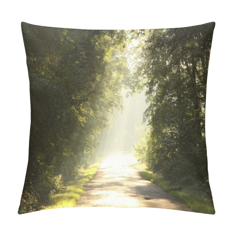 Personality  Late Sumer Forest Road In The Morning Pillow Covers