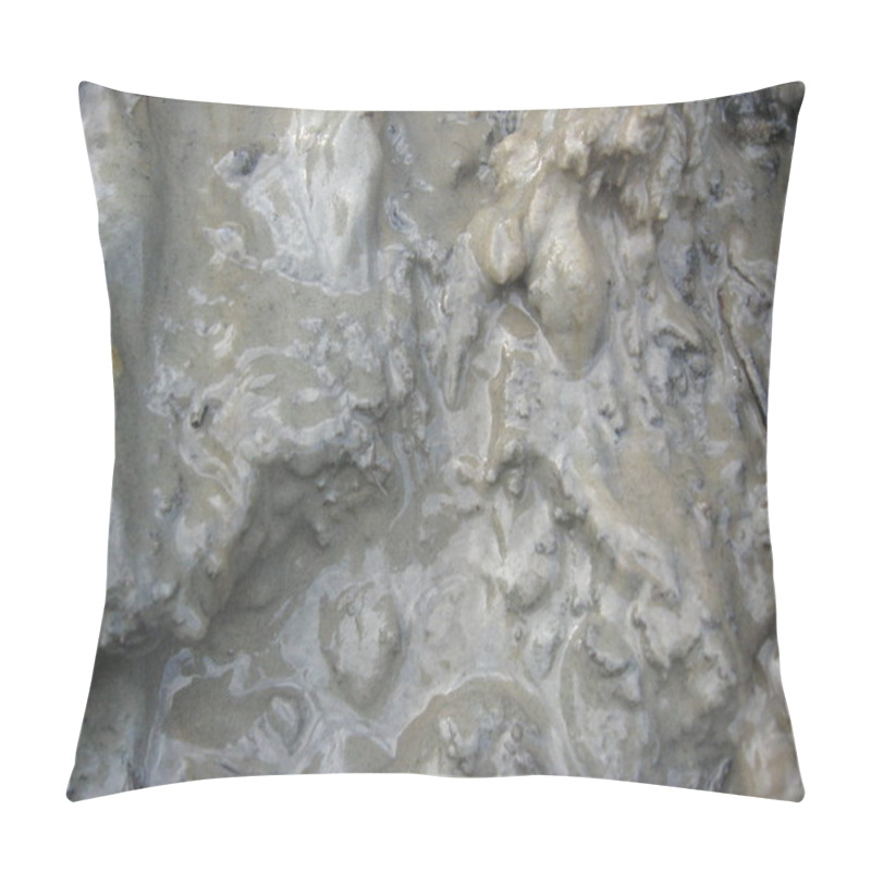 Personality  Image Of Layer Of A Dirt And Mudflow Pillow Covers