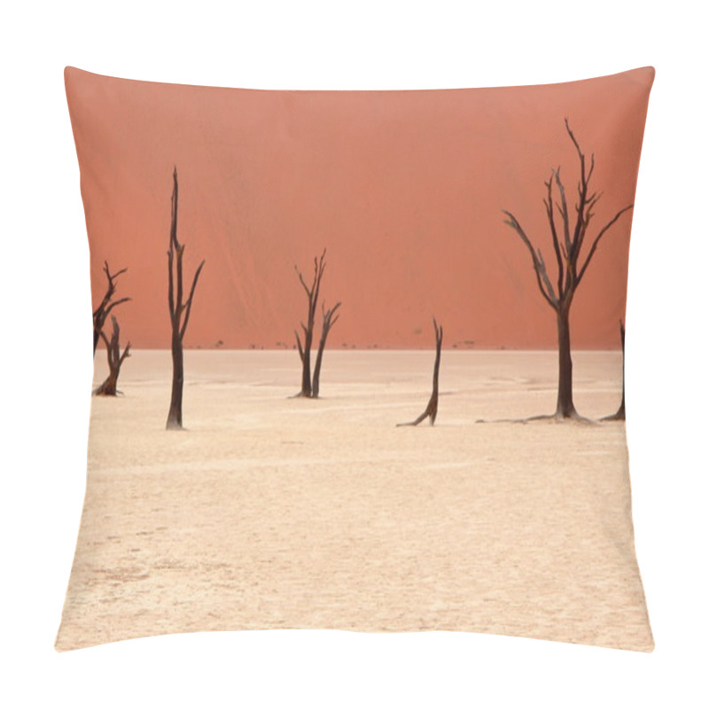 Personality  Sossusvlei: Namib Desert, Namibia Pillow Covers