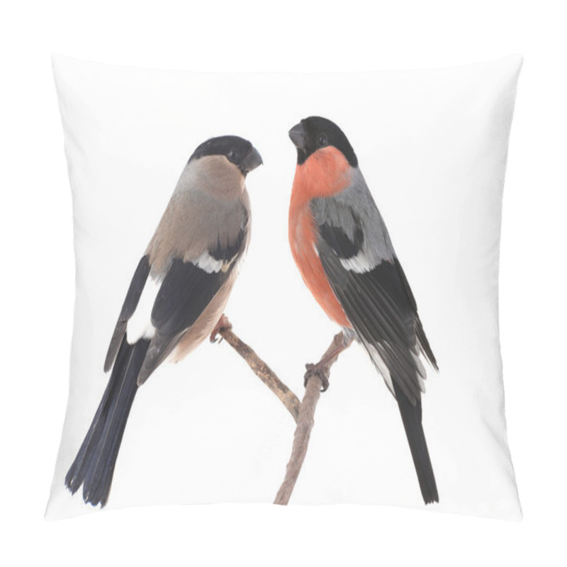 Personality  Bullfinches Sitting On The Branches Pillow Covers