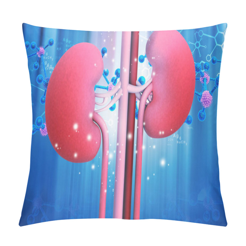 Personality  Human Kidney With Molecule Structure. 3d Render	 Pillow Covers