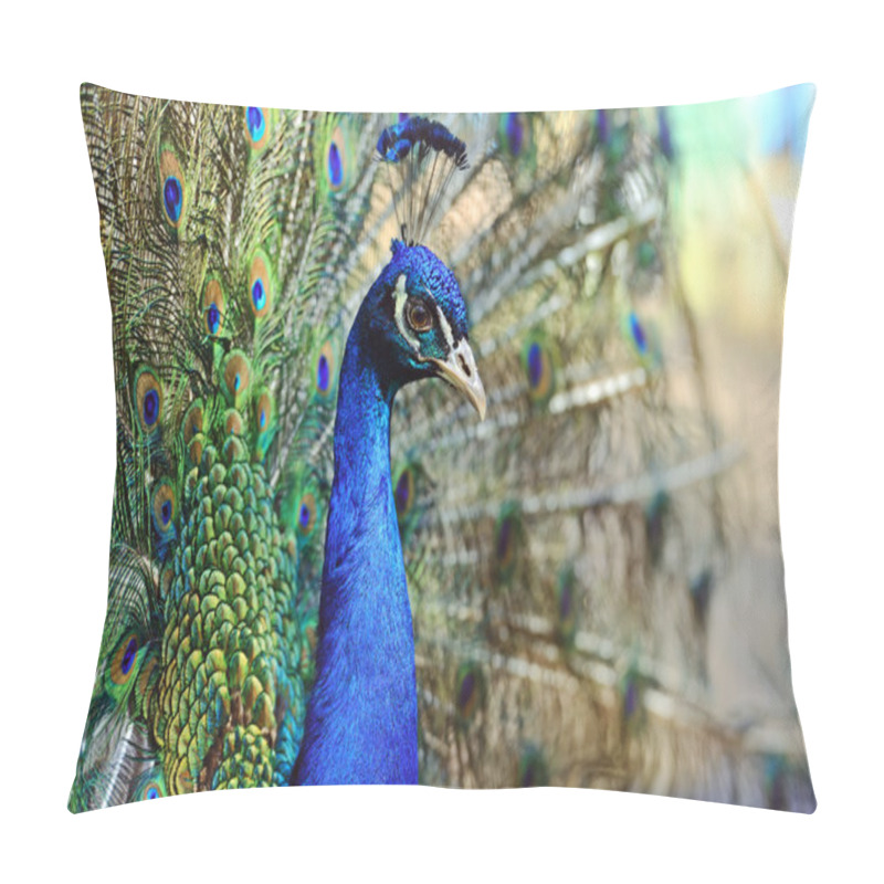 Personality  Peacock  Pillow Covers