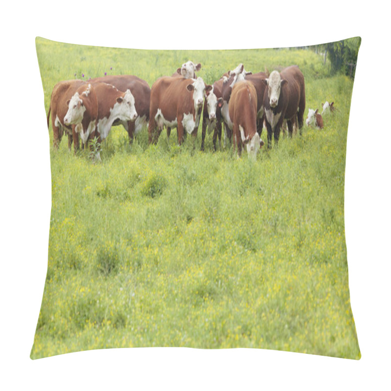 Personality  Cattle Pillow Covers