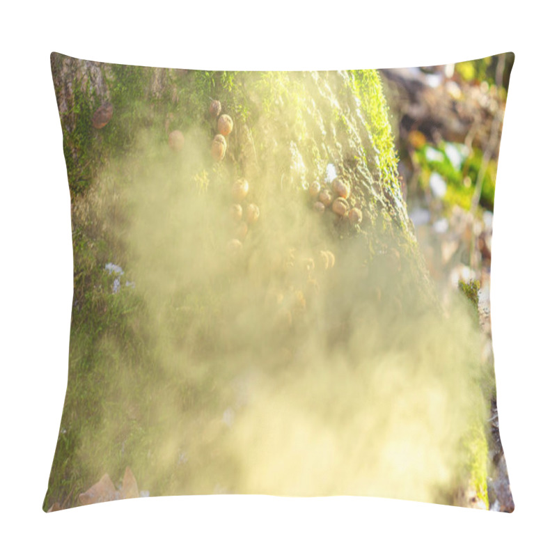 Personality  Withered Puffball Mushrooms Dispersing Spores On Mossy Log In Woods Pillow Covers