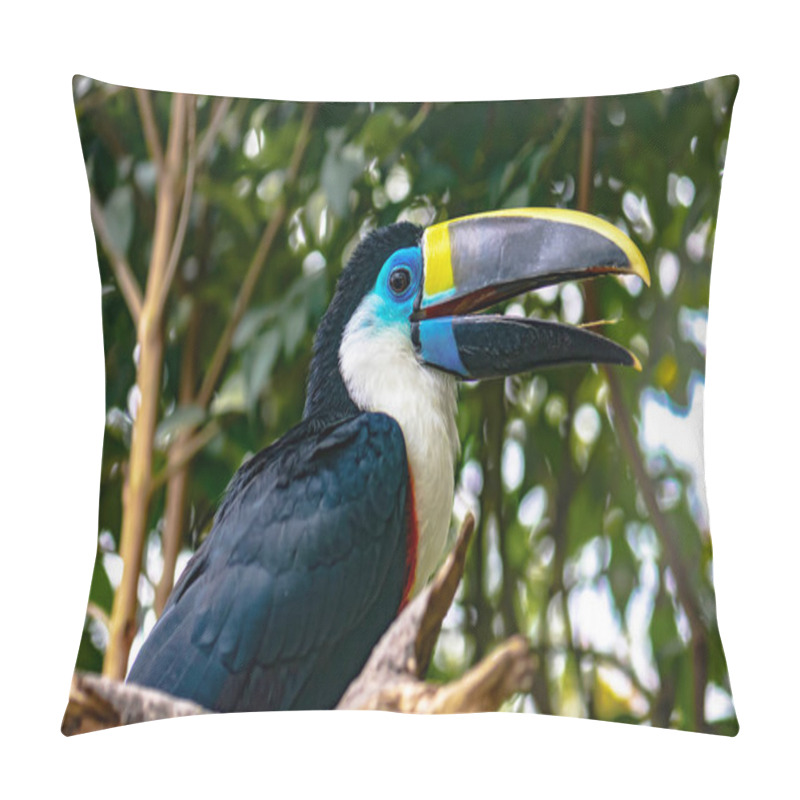 Personality  Close Shot Of A Nice Specimen Of A White Throated Toucan Pillow Covers