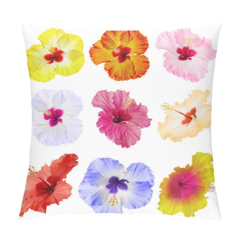 Personality  Set Of Beautiful Tropical Hibiscus Flowers Isolated On White Pillow Covers