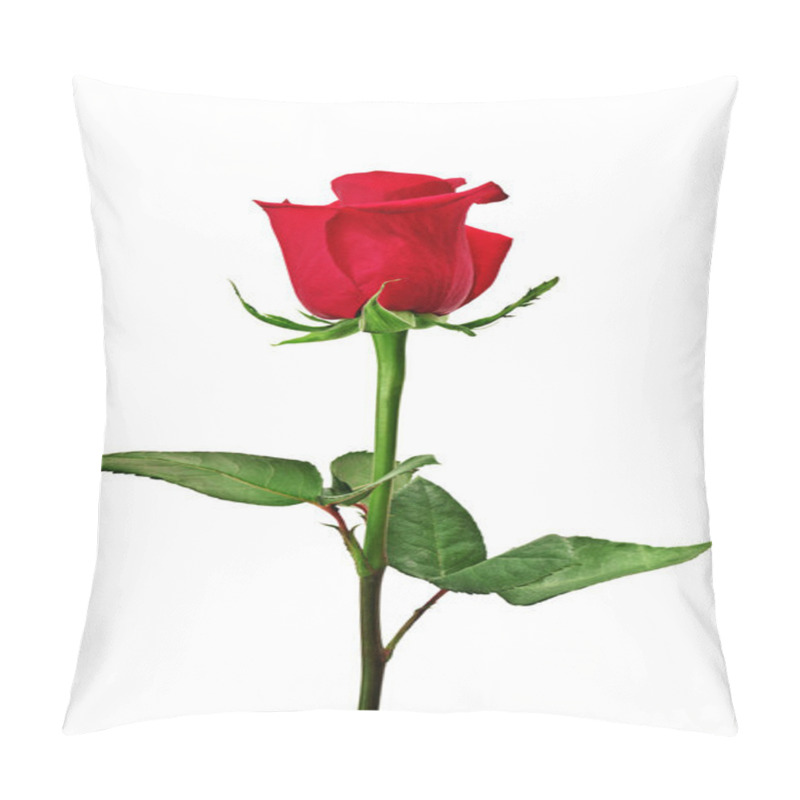 Personality  Beautiful Red Rose Pillow Covers