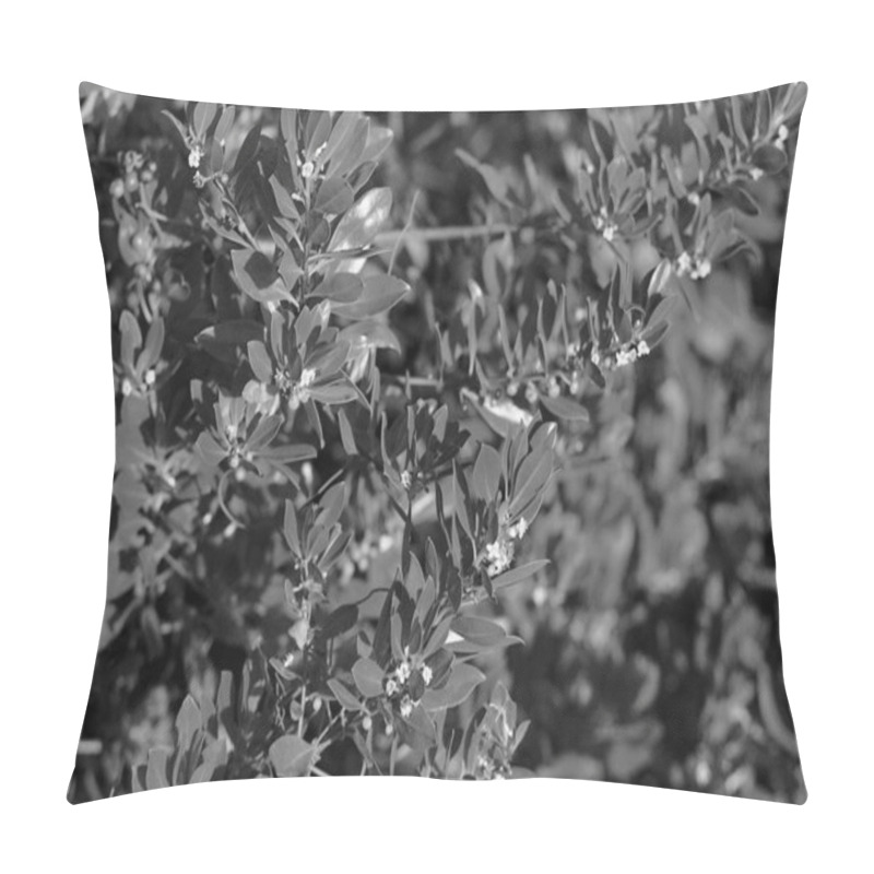 Personality  Lush Evergreen Shrub And Groundcover With Flowering Twigs And Grass Pillow Covers