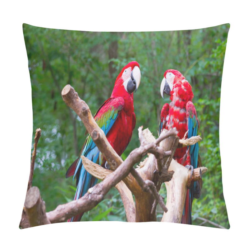 Personality  Red Parrot Birds Pillow Covers