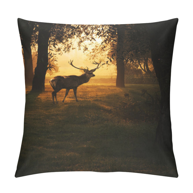 Personality  Deer In Sunset In The Forest Pillow Covers