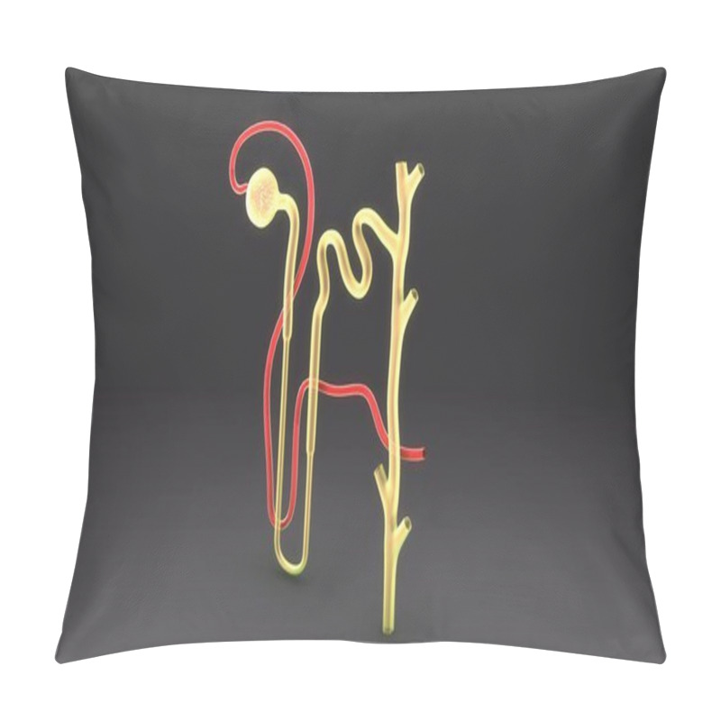 Personality  Urine Formation Illustration Pillow Covers