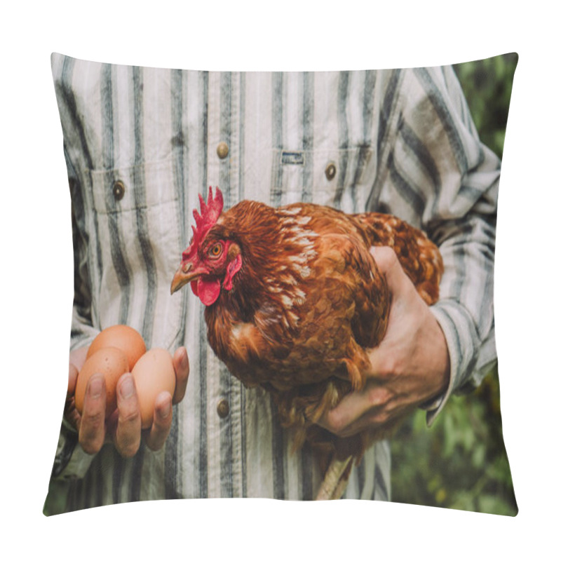 Personality  Red Adult Laying Hen And Fresh Farm Eggs In Farmer's Hands 1 Pillow Covers