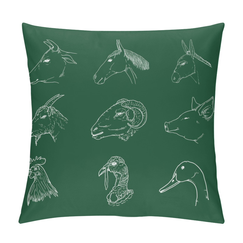 Personality  Vector Set Of Chalk Sketch Farm Animals Heads. Side View. Pillow Covers