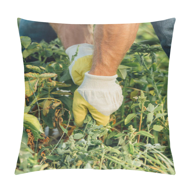 Personality  Partial View Of Farmer In Gloves Pulling Out Weeds While Working In Field Pillow Covers