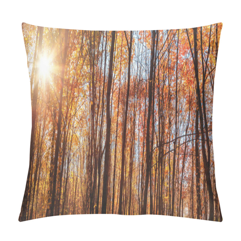 Personality  Sunlight Rays Sunshine Autumn Natural Background Trees Pillow Covers