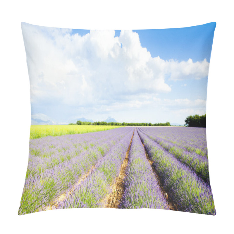 Personality  Lavender Field Pillow Covers