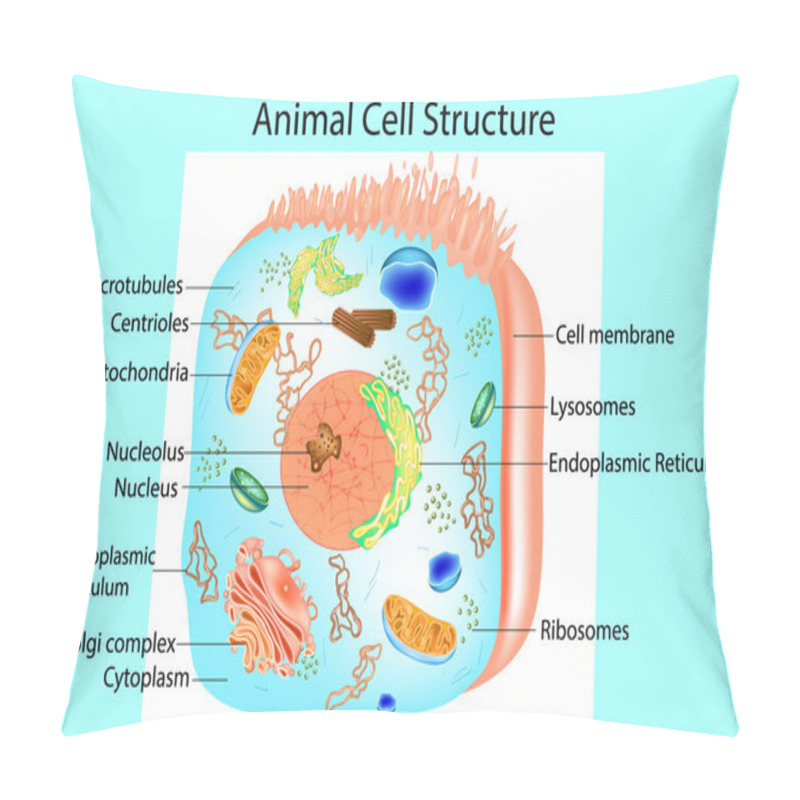 Personality  Illustration Of The Anatomy Of An Animal Cell. Structure Of A Eukaryotic Cell. Pillow Covers