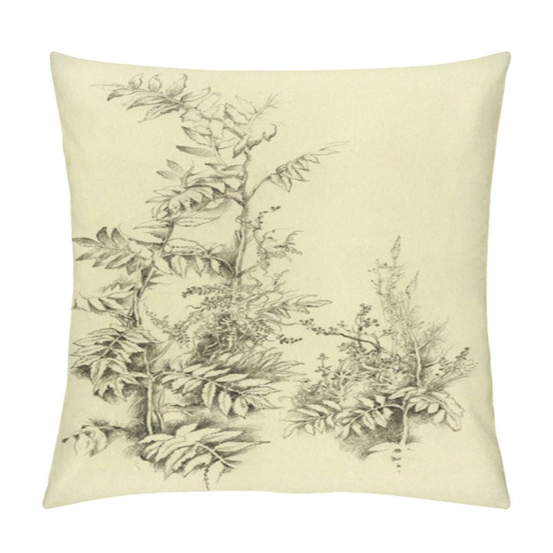 Personality  Various Herbs. Made By Pencil On Paper. Pillow Covers