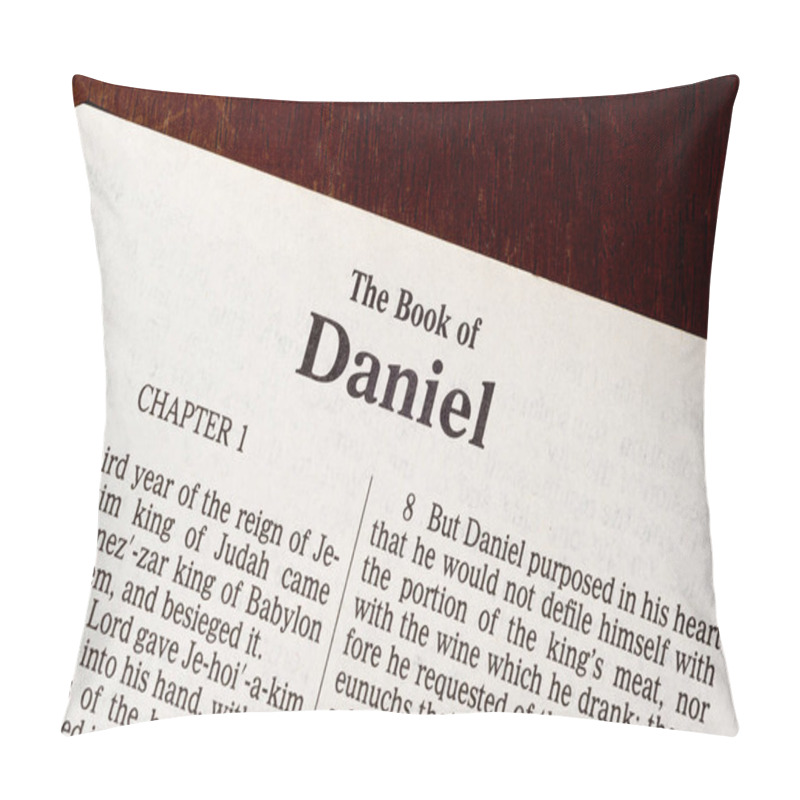 Personality  Title Page Of The Book Of Daniel Pillow Covers