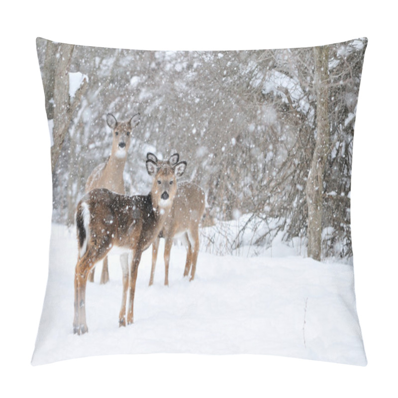 Personality  Whitetail Deer Doe Pillow Covers