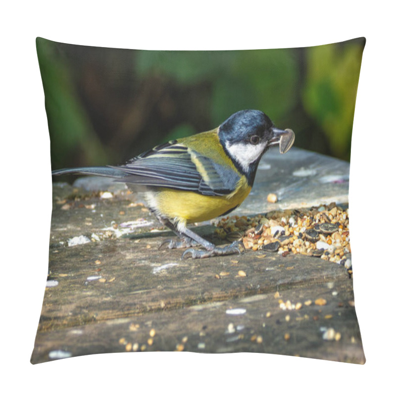 Personality  Great Tit Feeds On Insects, Seeds, And Nuts. Captured In Father Collins Park, Dublin, Ireland.  Pillow Covers