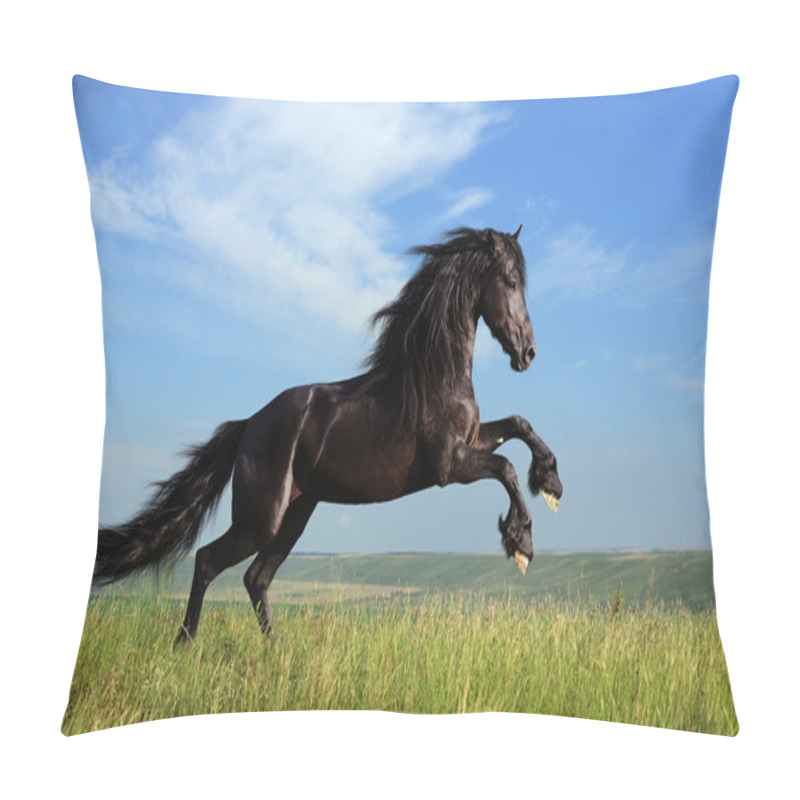 Personality  Beautiful Black Horse Playing On The Field Pillow Covers