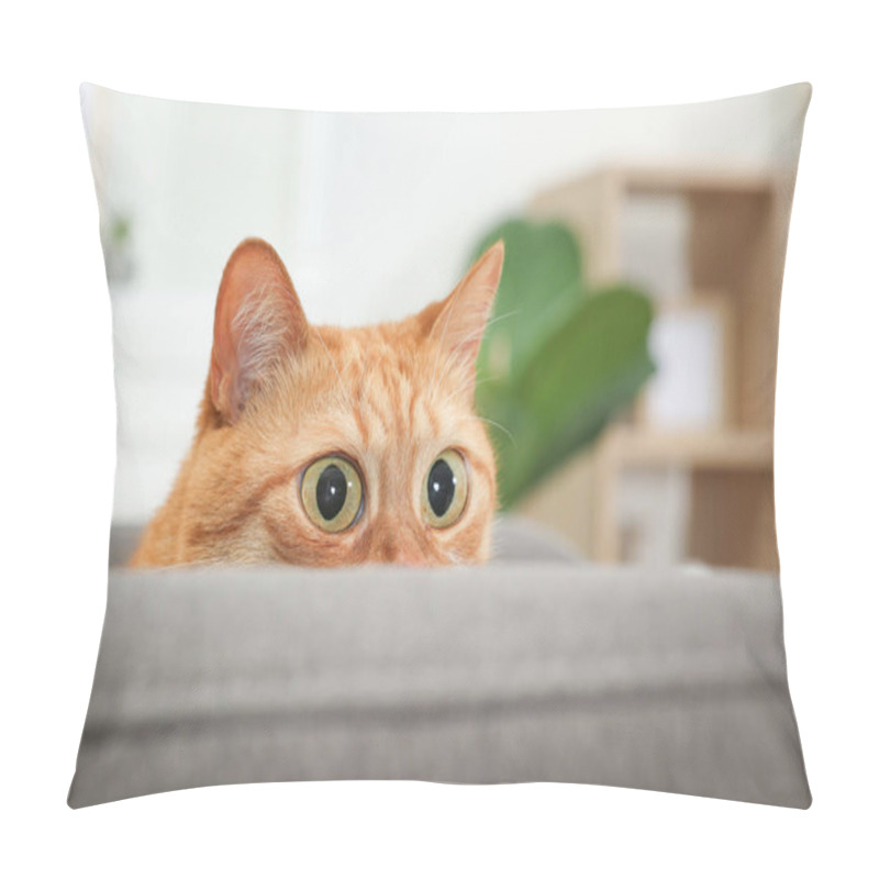 Personality  Funny Pet. Cute Ginger Cat With Big Eyes At Home Pillow Covers