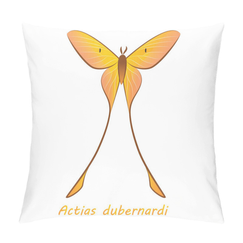 Personality  Drawn Butterfly With Latin Name Actias Dubernardi On A White Background Pillow Covers