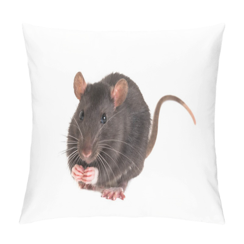 Personality  Cute Little Rat, Folded Legs, And Stands On The Hind Pillow Covers