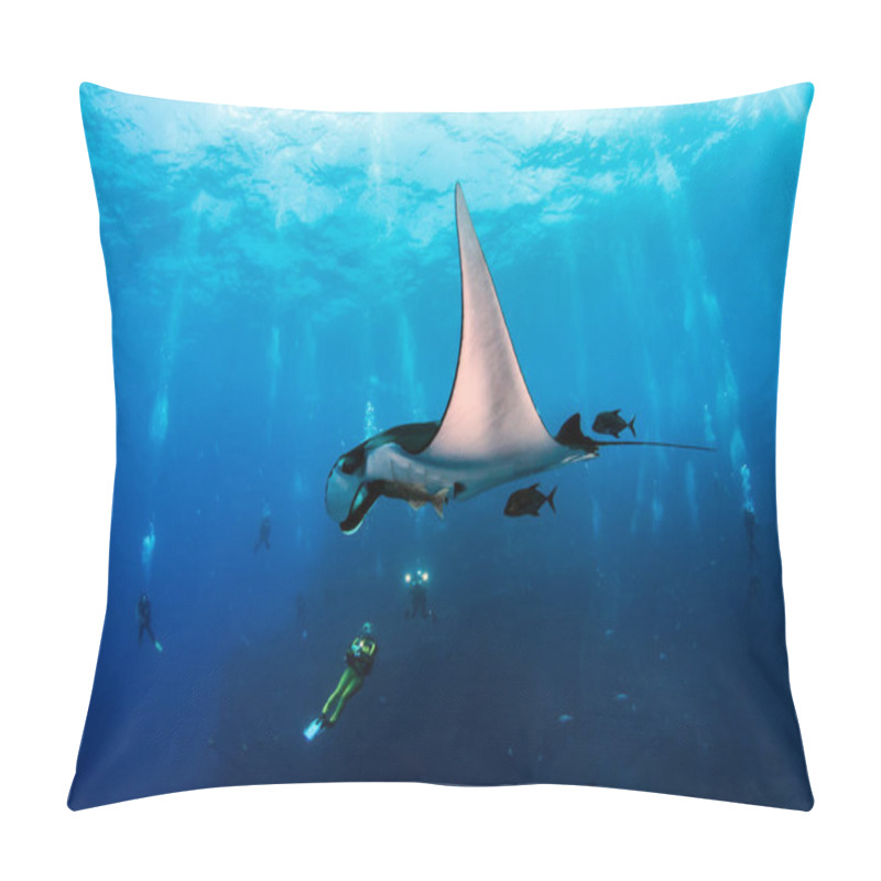 Personality  Manta Ray At Islas Revillagigedos, Mexico Pillow Covers