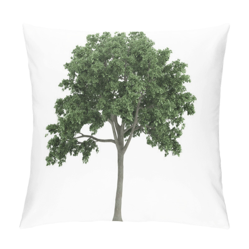 Personality  Elm Or Ulmus Pillow Covers