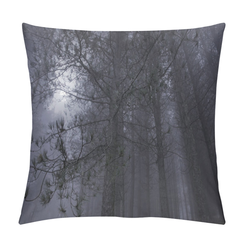 Personality  Mysterious Woods In A Foggy Full Moon Night Pillow Covers