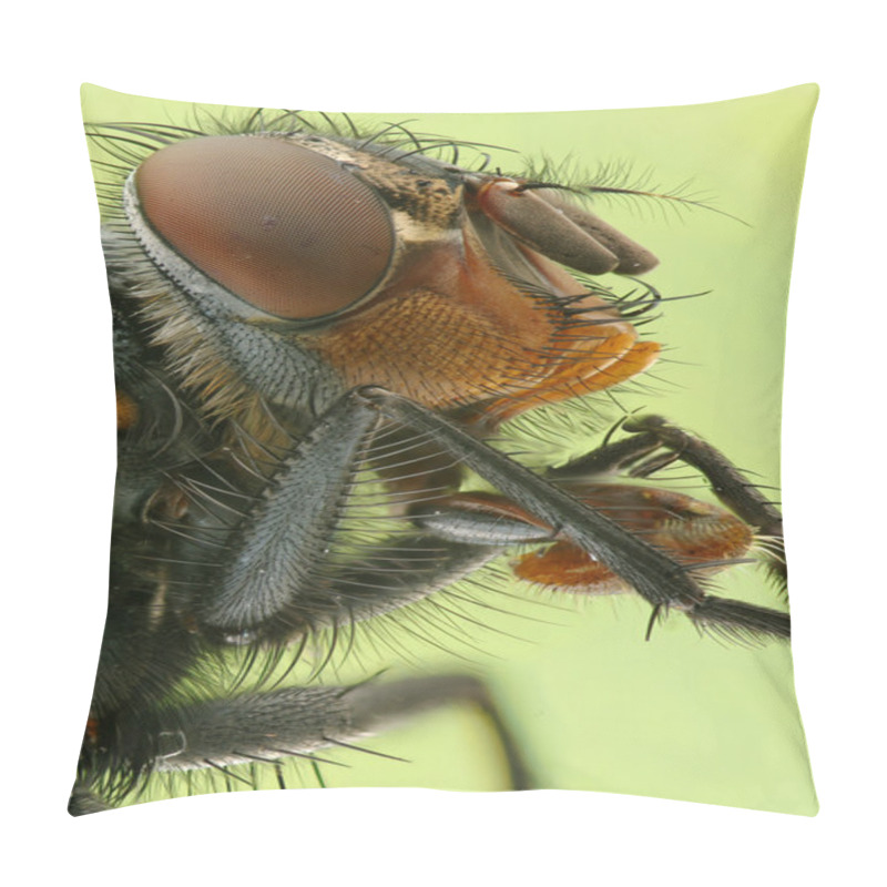 Personality  Macro Photo A Fly Pillow Covers