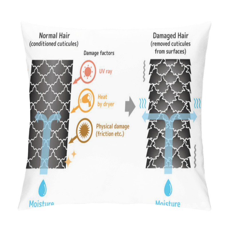 Personality  Comparison Illustration Of Healthy Hair And Damaged Hair. Pillow Covers